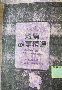 Image of 大光短篇故事精选