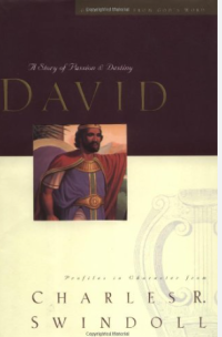 Image of A Man of Passion and Destiny - David
